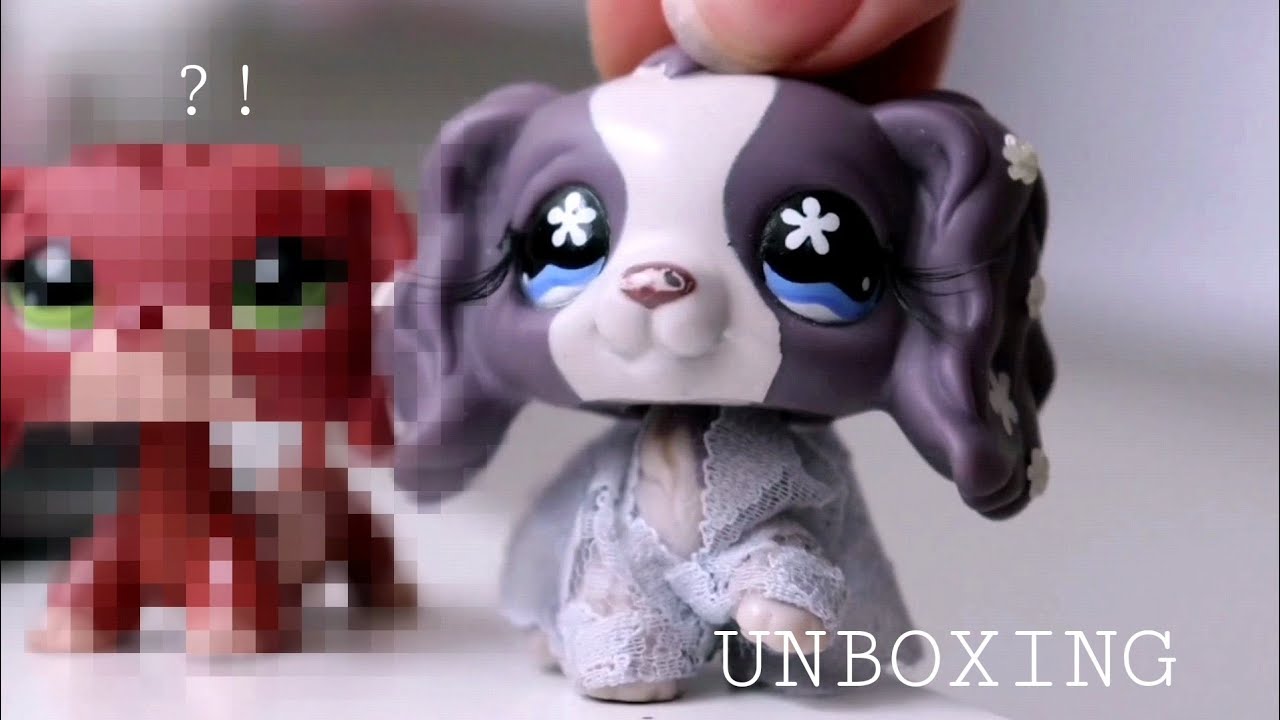 MUJ NEJVICE WISH LPS??!! /// UNBOXING 📦