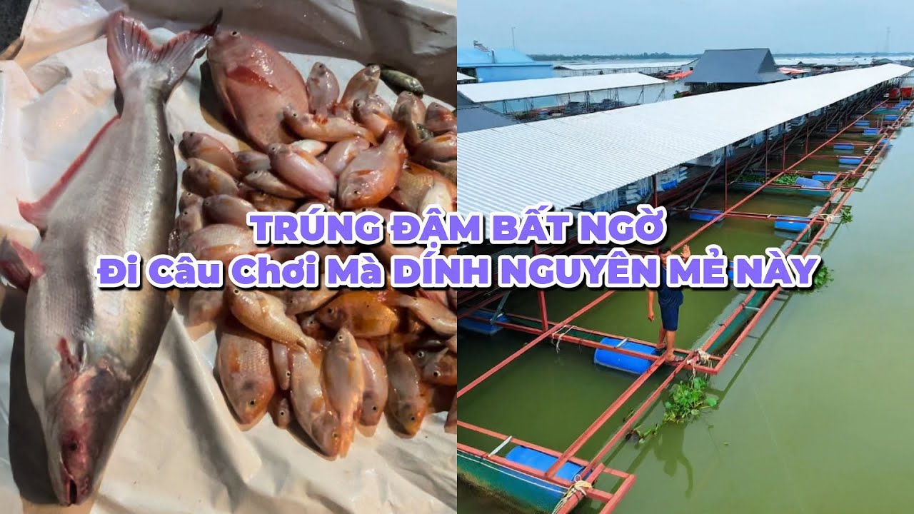 TRÚNG ĐẬM BẤT NGỜ - Đi Câu Chơi Mà DÍNH NGUYÊN MẺ NÀY