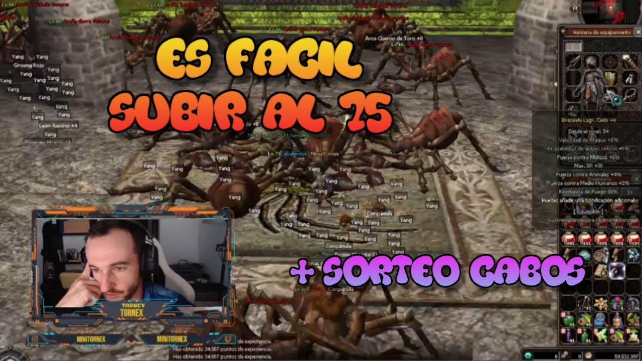Como subir de nivel hasta el 75? Con poco equipo 😎 Cueva de Arañas Metin2 Tempest