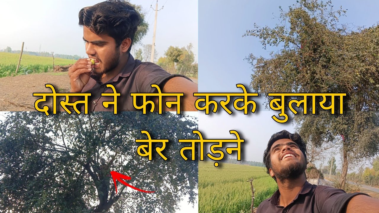 दोस्त ने फोन लगाकर बेर खाने के लिए बुलाया desi village life vlog 