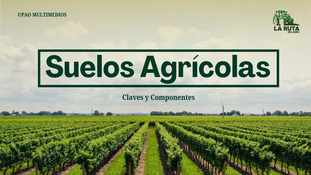 Suelos agrícolas: claves y componentes | La Ruta del Agro