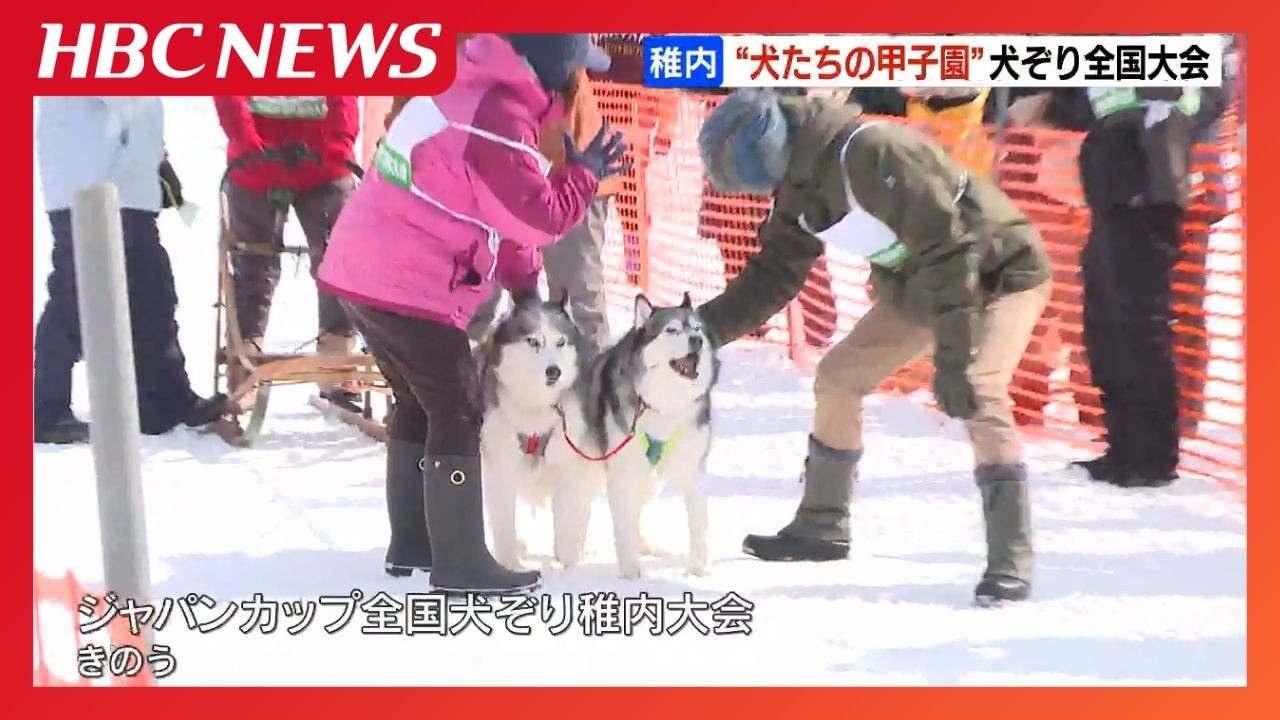 “犬たちの甲子園”愛犬と心を一つに駆け抜ける！「この短い足で走ってくれた、悔いなく楽しんだ」と参加者は笑顔　北海道稚内市