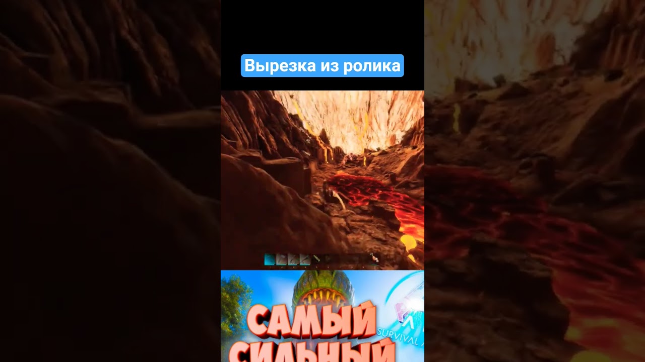 #pavlo