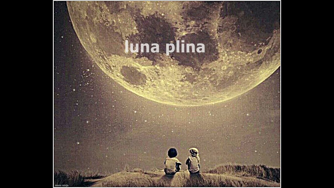 zmeu ninja - lună plină