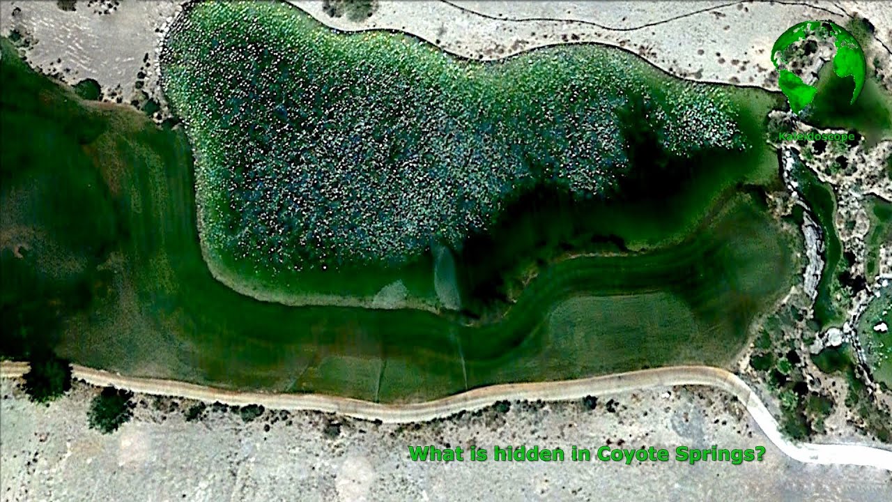 What is hidden in Coyote Springs ?