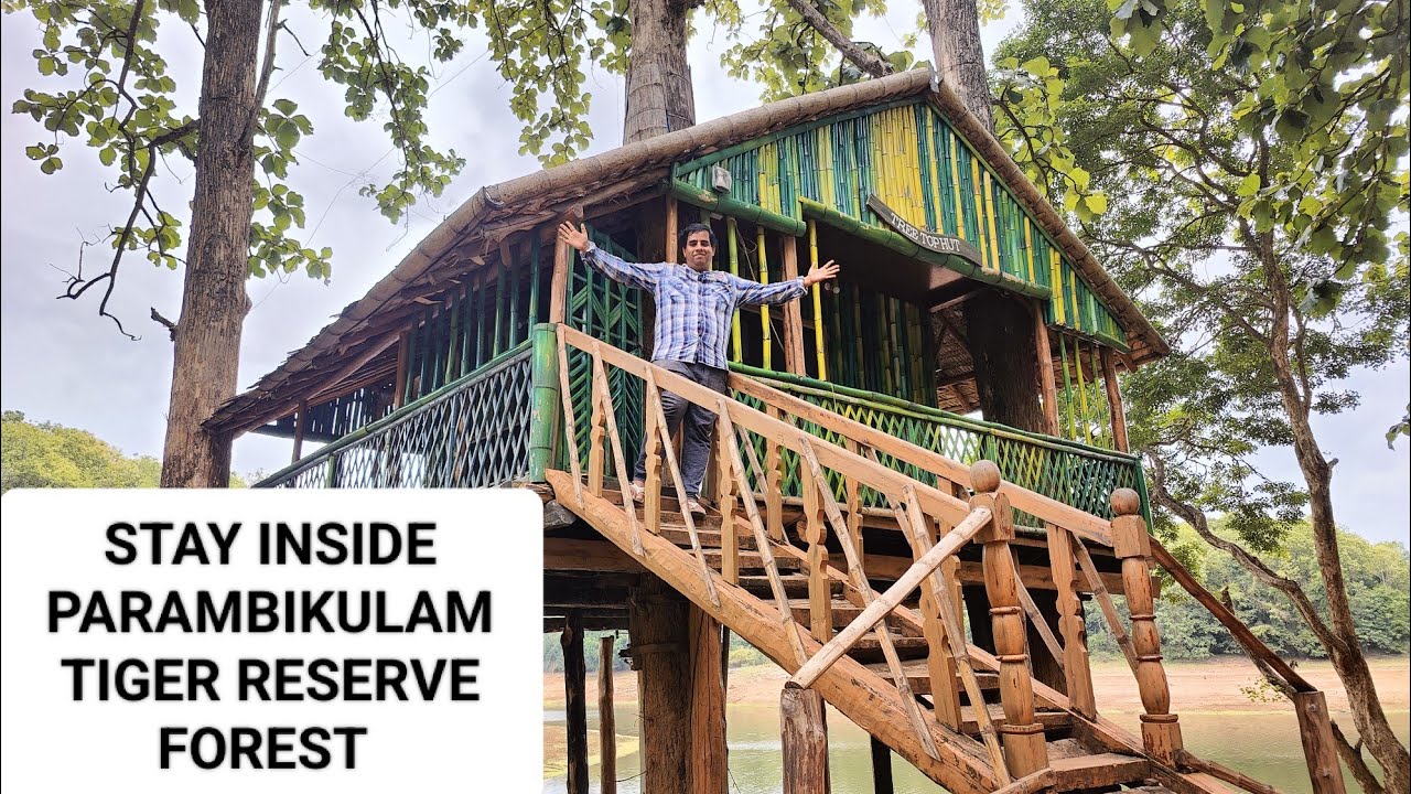 Parambikulam Tiger reserve forest | Thunakadavu Tree top Hut | forest stay | കാട്ടിനുള്ളിലെ Tree Hut