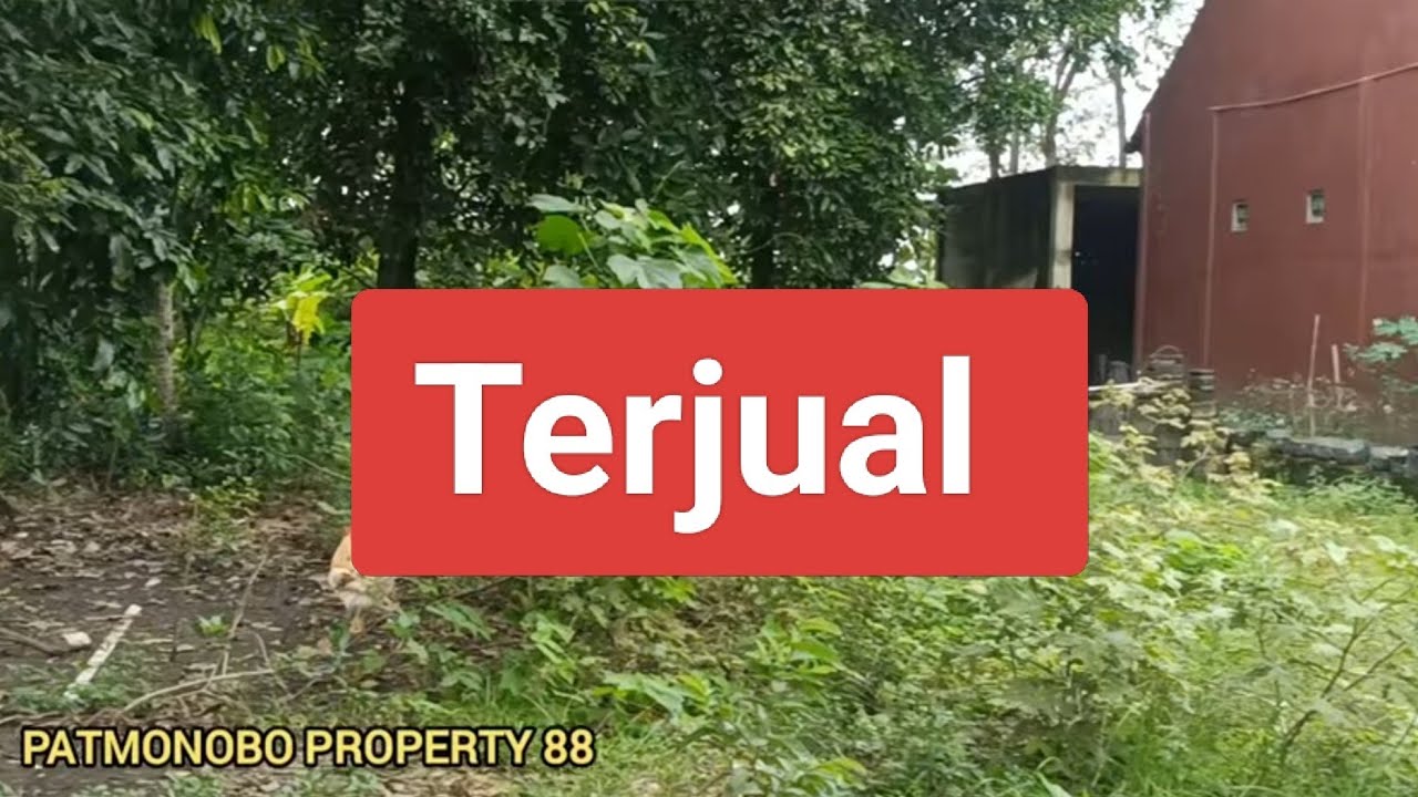 Tanah SHM pekarangan 175 JT nego luas 270 m Ld 10 m Bambang lipuro Bantul Yogyakarta 
