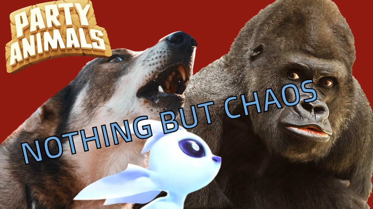 NOTHING BUT CHAOS | Party Animals