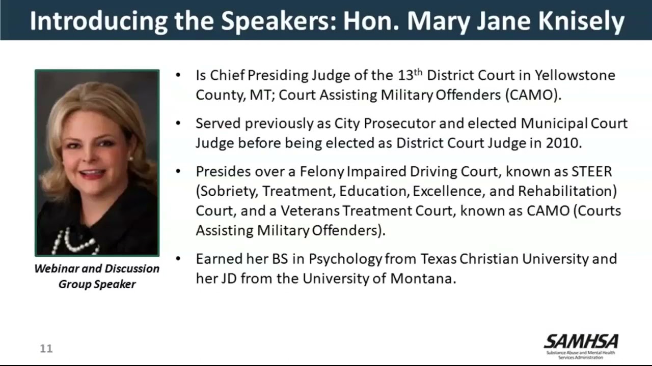 Transform to Teleservices Part II: Innovative Approaches to SUD Treatment in Drug Courts