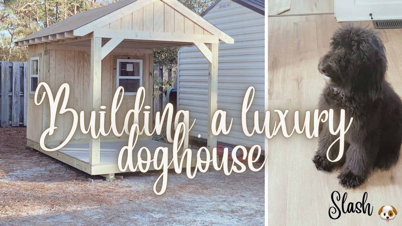 Building A Luxury Dog House DIY | 2025