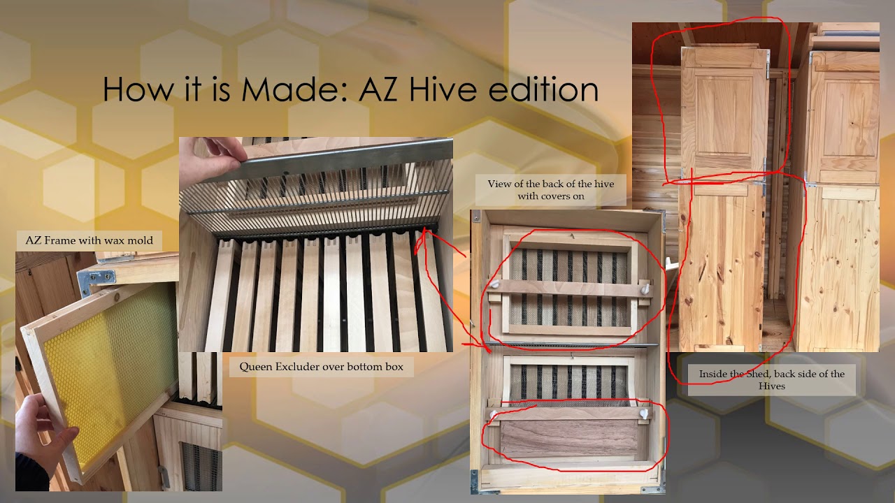 AZ Hives