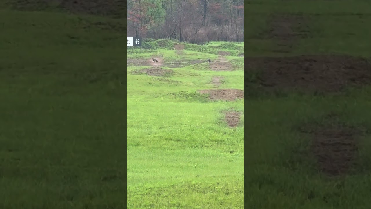 300 yards, just iron sights&hellip; are you hitting him?