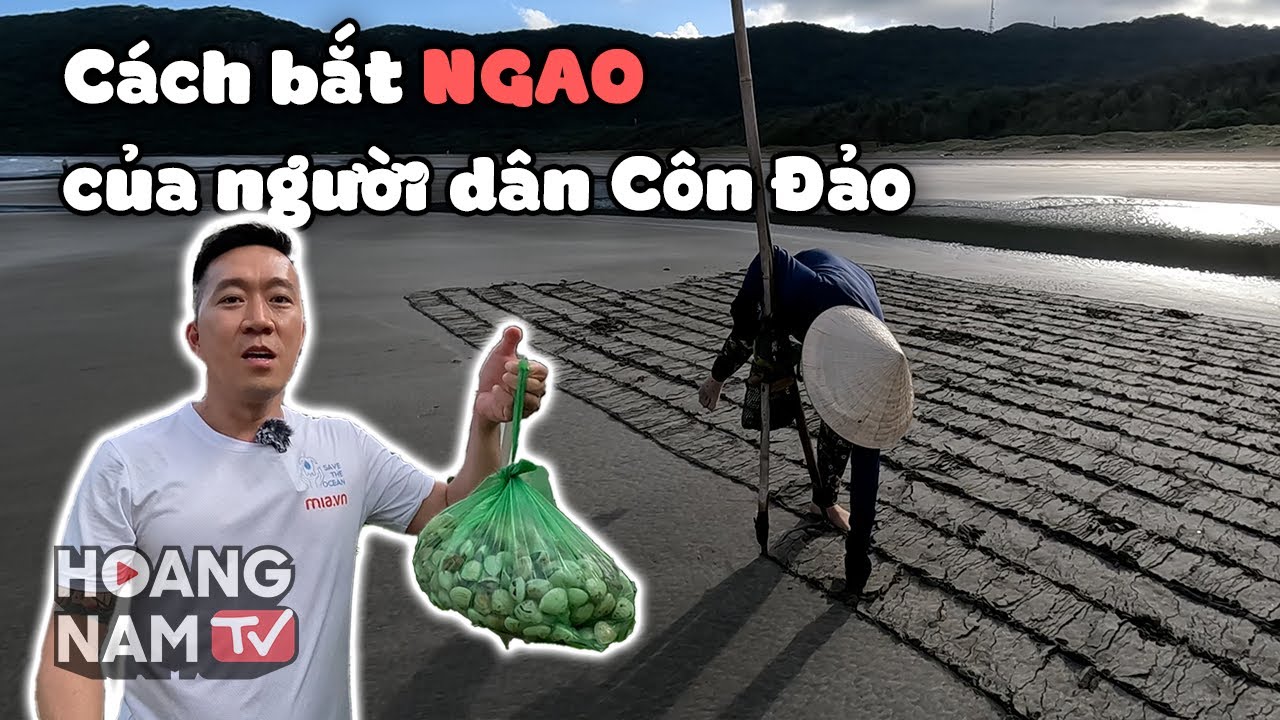 Viếng mộ cô Sáu Côn Đảo - Hoàng Nam xin điều ý nghĩa nhất cuộc đời