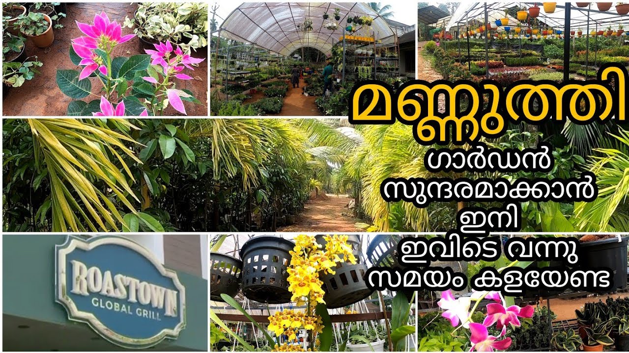 Mannuthi Madakkathara|Flower Plant Nursery In kerala|Indoor plants Haul|plants online In Kerala