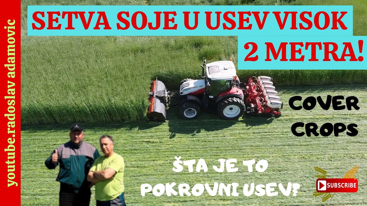 SETVA SOJE U USEV VISOK 2 METRA:&Scaron;TA JE TO POKROVNI USEV?; SOWING SOY IN A CROP 7 ft HIGH:COVER CROPS