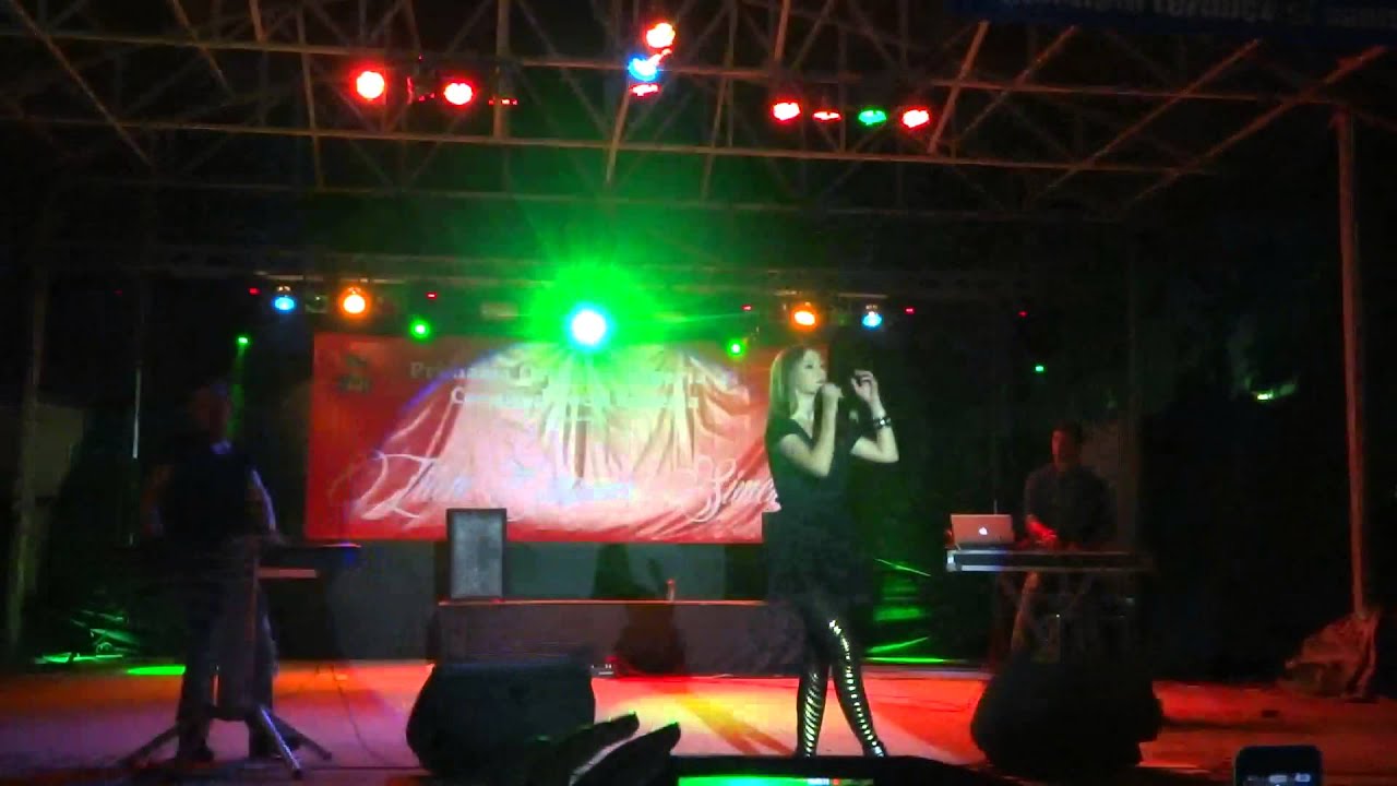DJ Project si Adela Popescu - Hotel si Bun ramas (live Simeria 2013)