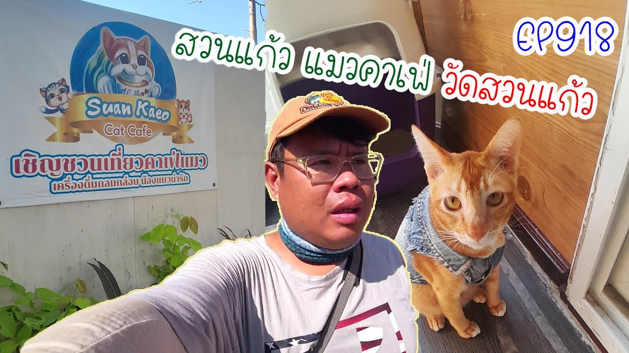 สวนแก้ว แมวคาเฟ่ วัดสวนแก้ว ปั่นไปแดกไป EP918