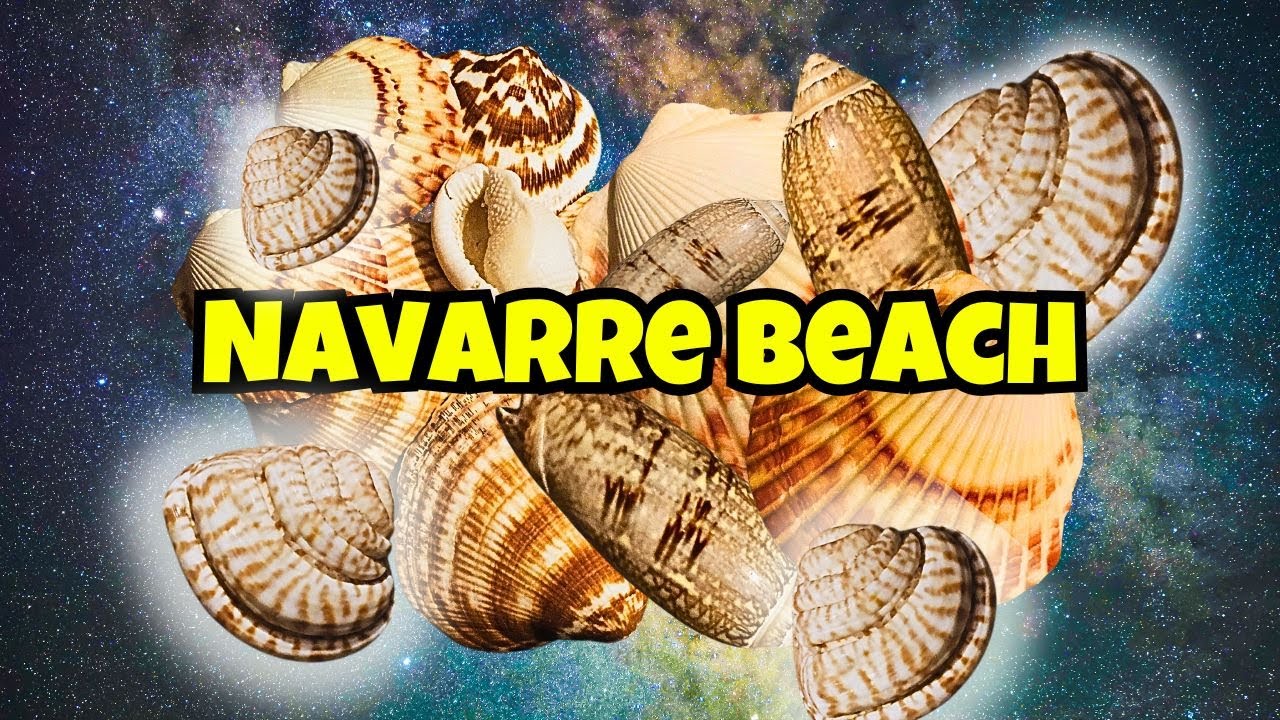 Night Shelling NAVARRE BEACH, FLORIDA