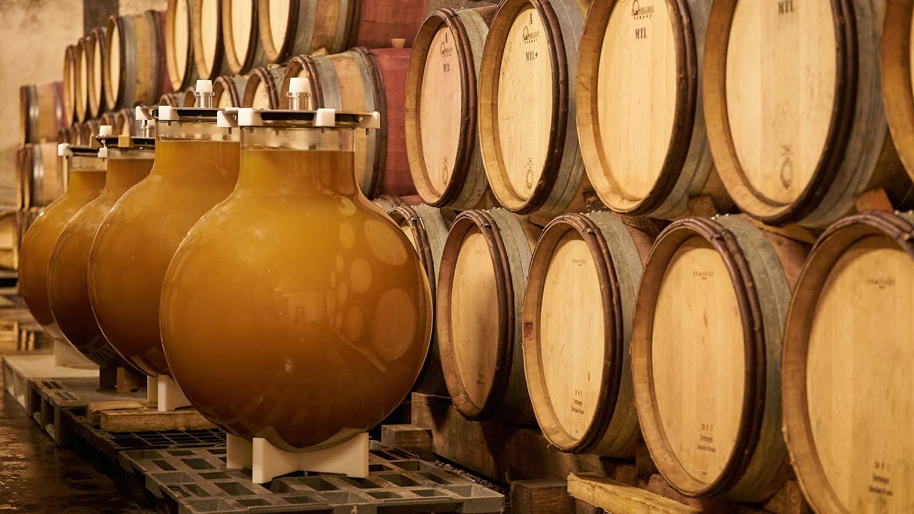 Vidéo de présentation Wineglobe
