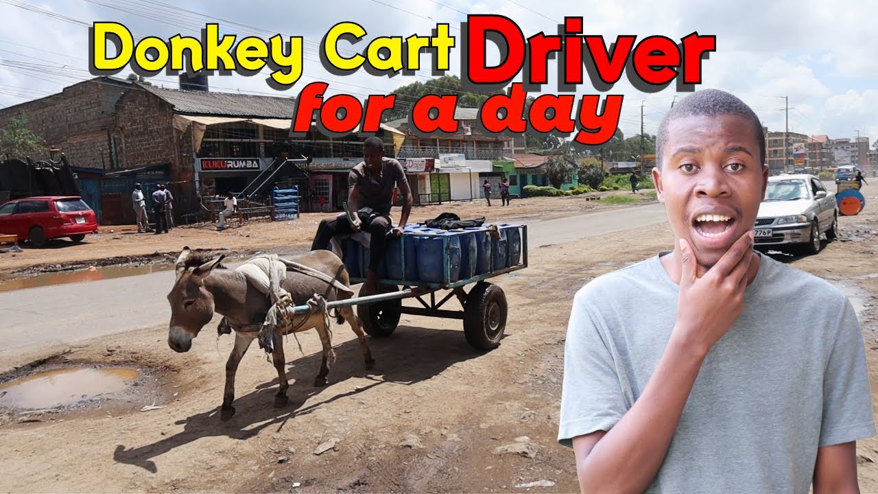 I Became A Donkey Cart Driver For A Day