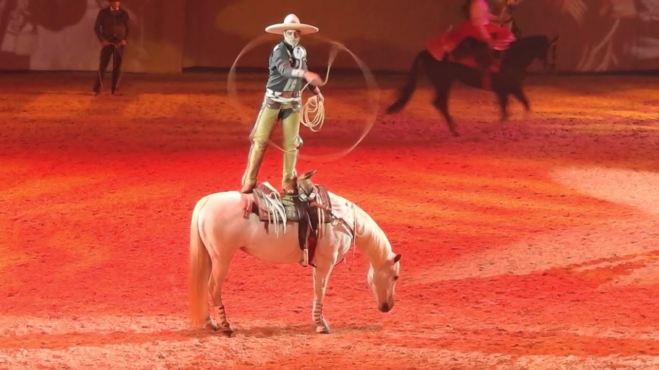 CHEVAL PASSION AVIGNON 2016