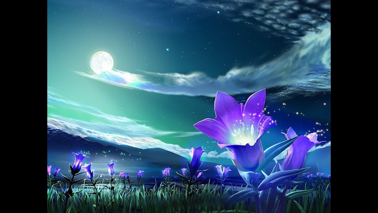 Michael Dulin - Clair De Lune