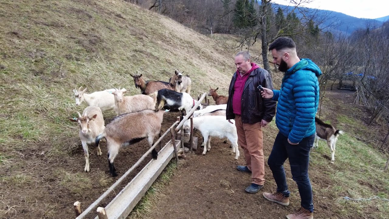 ''Ja sam čovjek seljak, ne bih u grad ni za kakve pare!''