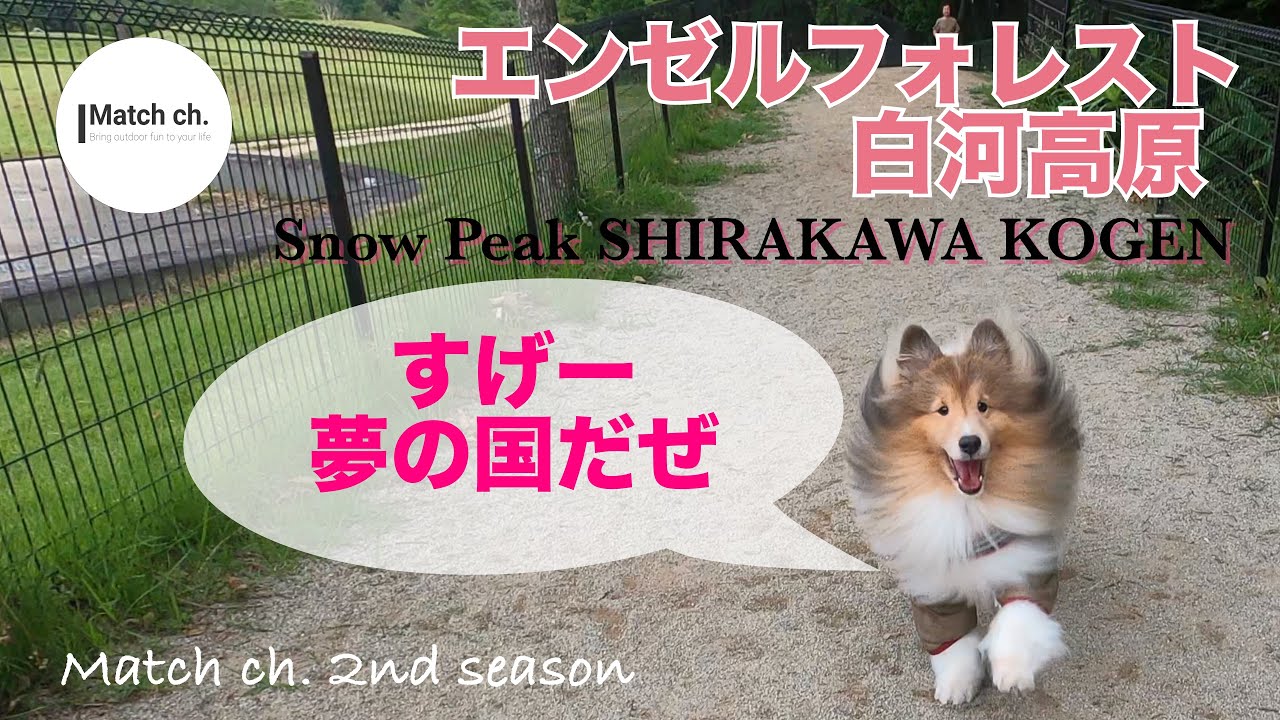 [犬連れキャンプ]　エンゼルフォレスト白河高原　スノーピーク直営店キャンプ場へ　わんこの夢の国だった！［夫婦キャンプ］