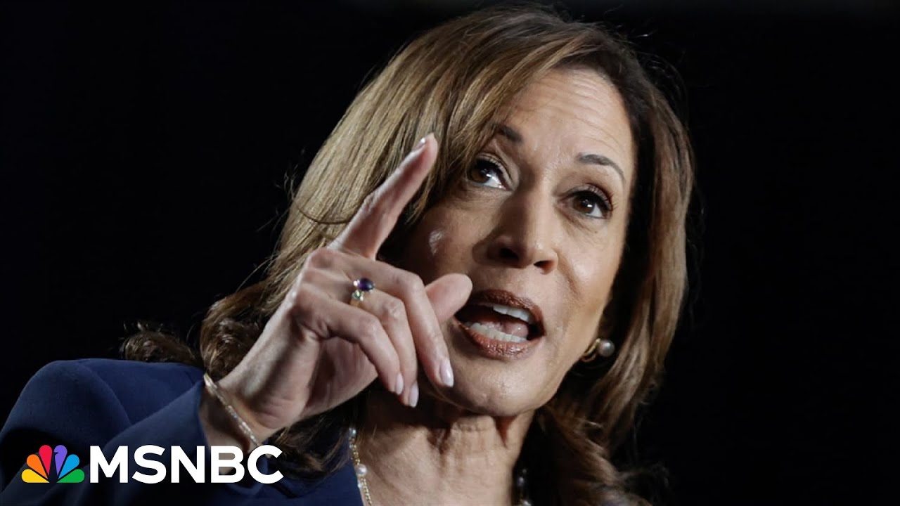 What Harris's vetting process looks like for her running mate pick