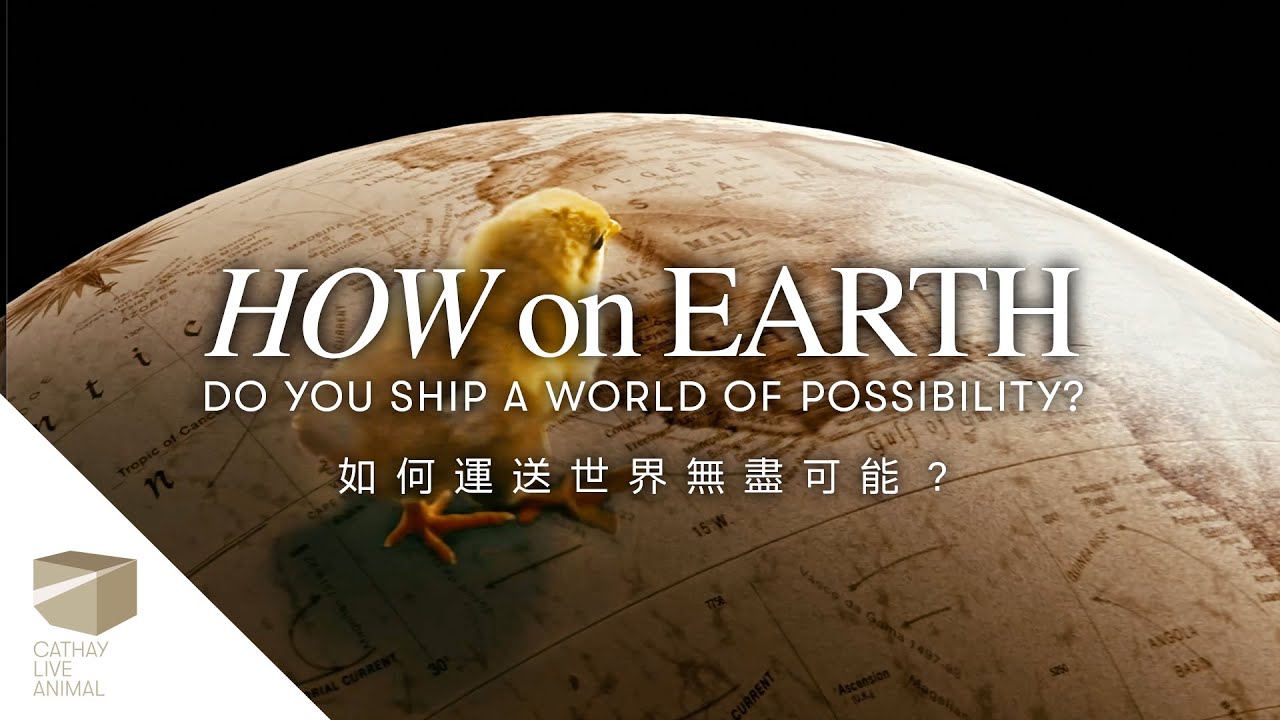 We Know How: Moving Live Animals with Compassion | We Know How: 關懷備至的動物護送旅程