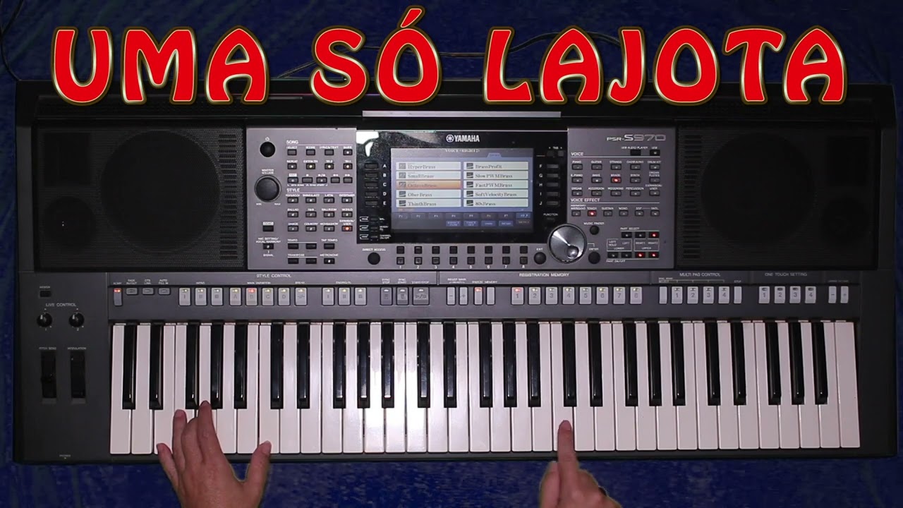 Uma só Lajota - Clayton Borges