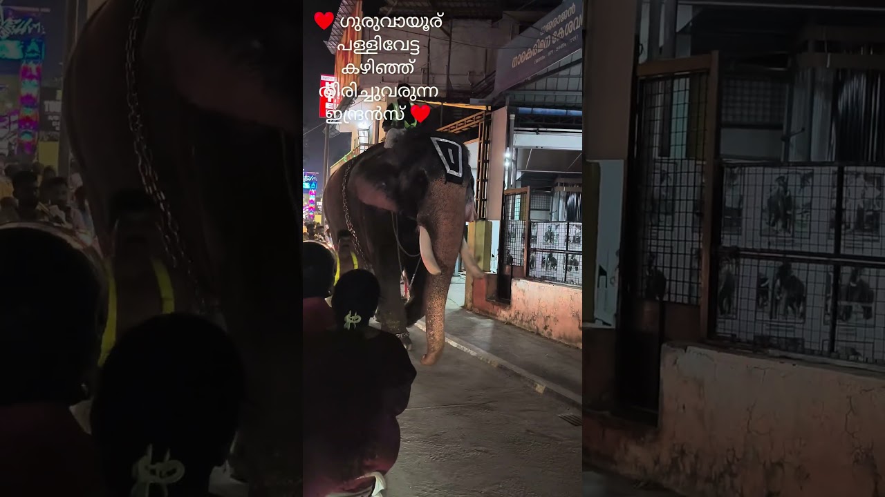 ❤️ ഗുരുവായൂർ ഇന്ദ്രസന്&zwj;❤️