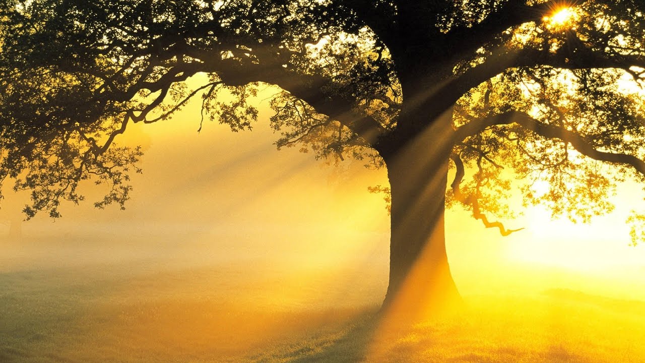 Tumi Sabar Ashar Alo - Prabhat Sangeet #3330