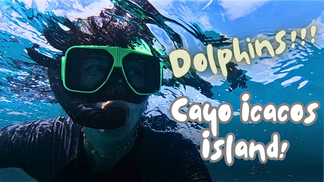Snorkeling and Swimming with Dolphins at Cayo Icacos Puerto Rico! *Icacos Island