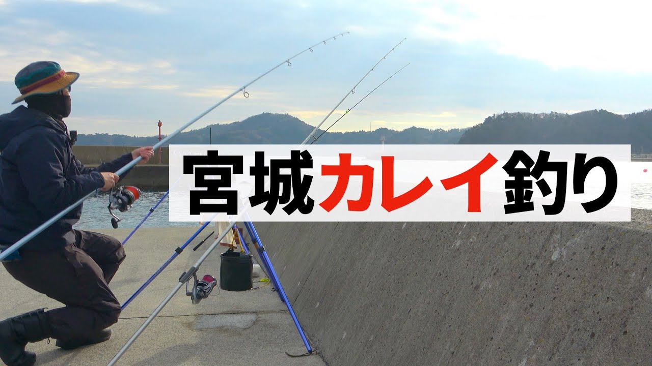 投げ釣りでカレイを狙う！予想外の珍客も釣れてしまった
