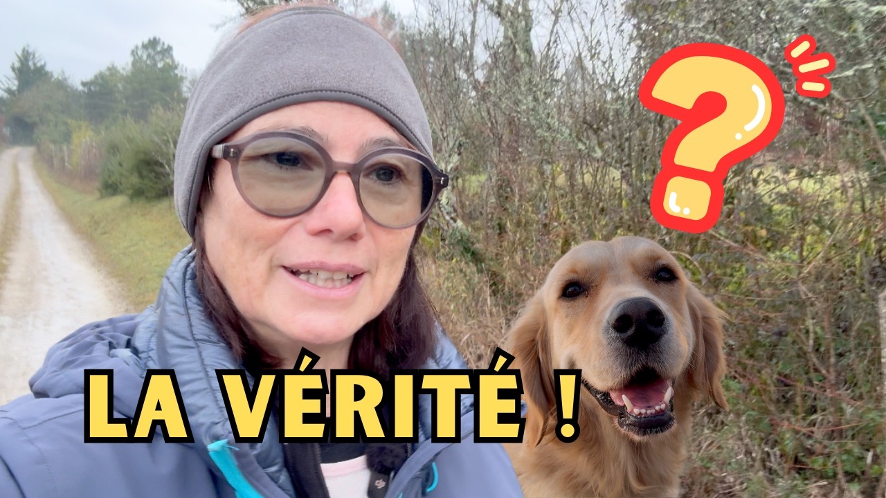 Fini la vie en van !!? FAQ je réponds à vos questions!