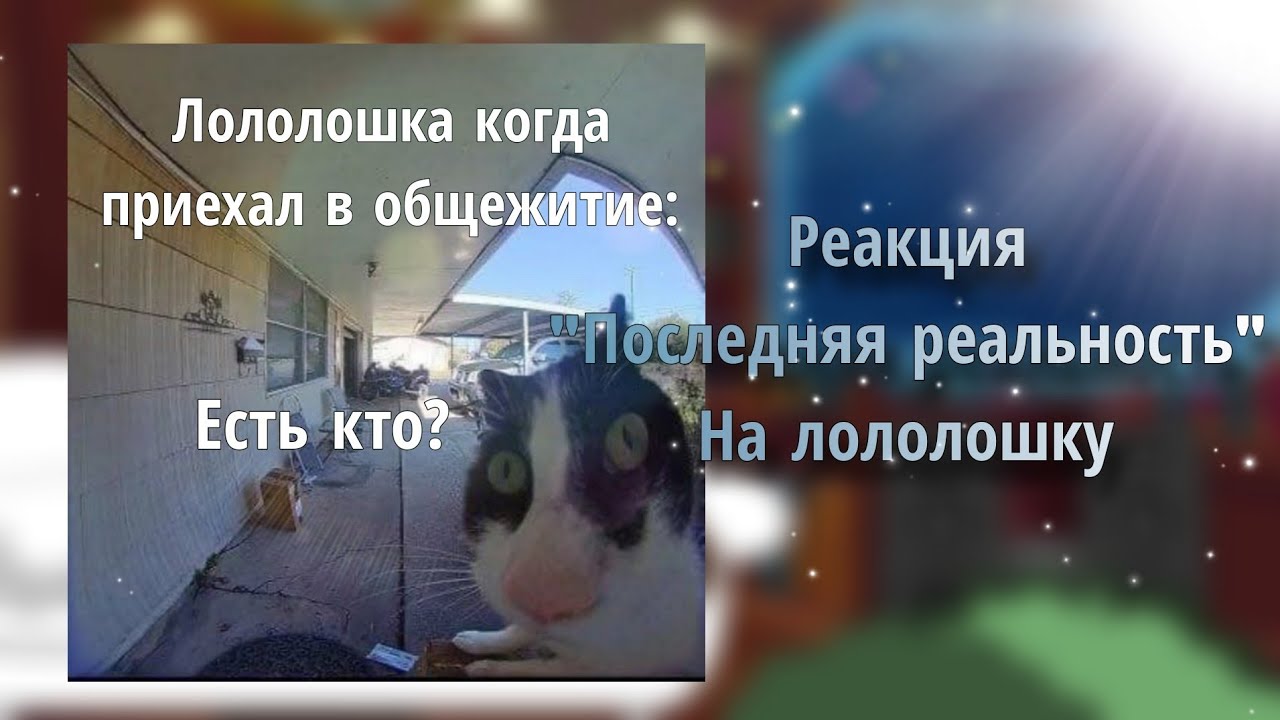 Реакция 