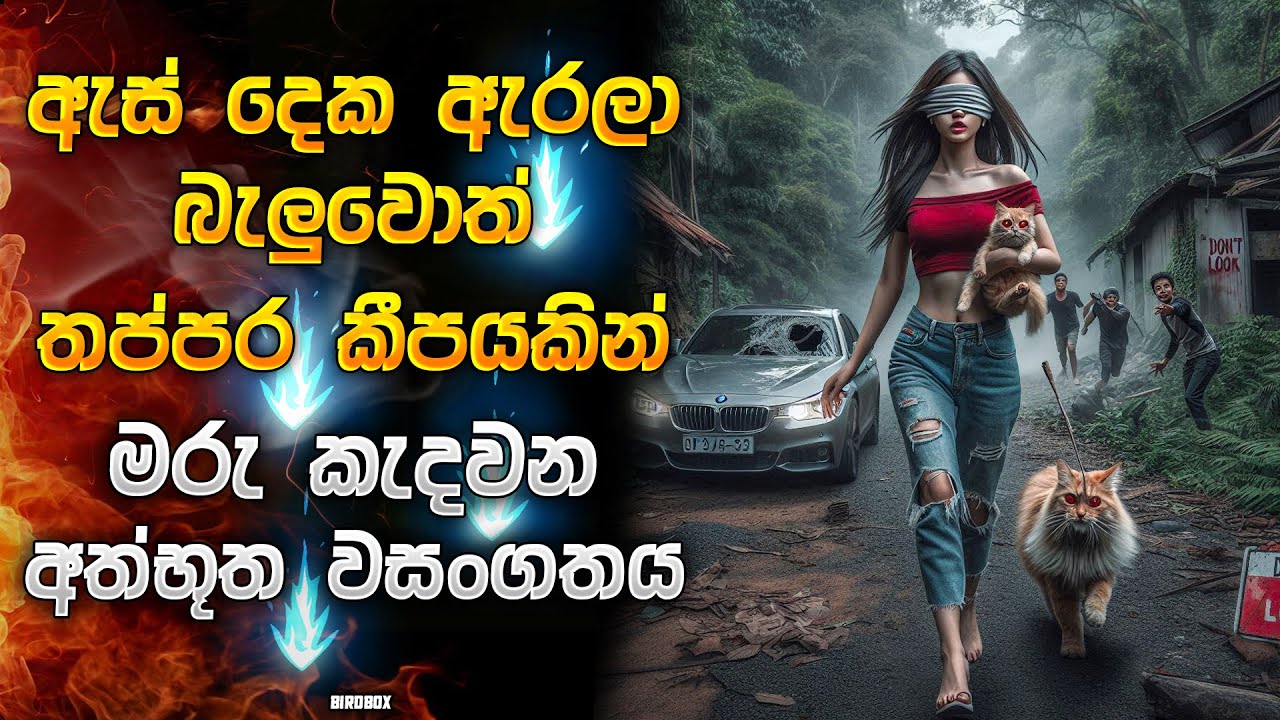 ඇස් ඇරලා බැලුවොත් තප්පර කීප‍යකින් මරු කැදවන අත්භූත වසංගතය | Horror movie Sinhala review | Recap