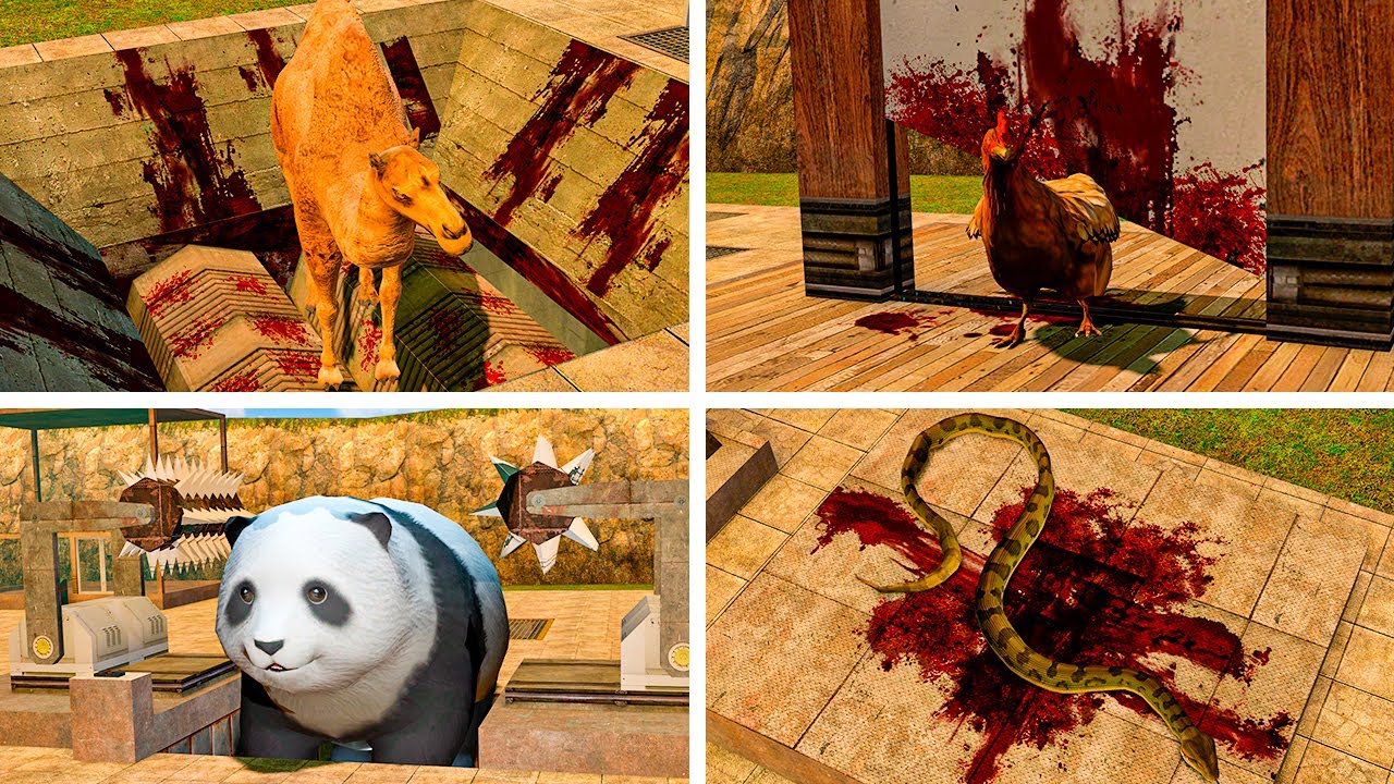 NEW ALL NATURAL ZOOCHOSIS ANIMALS CAMEL PANDA CHICKEN SNAKE TORTURE IN GARRY'S MOD!