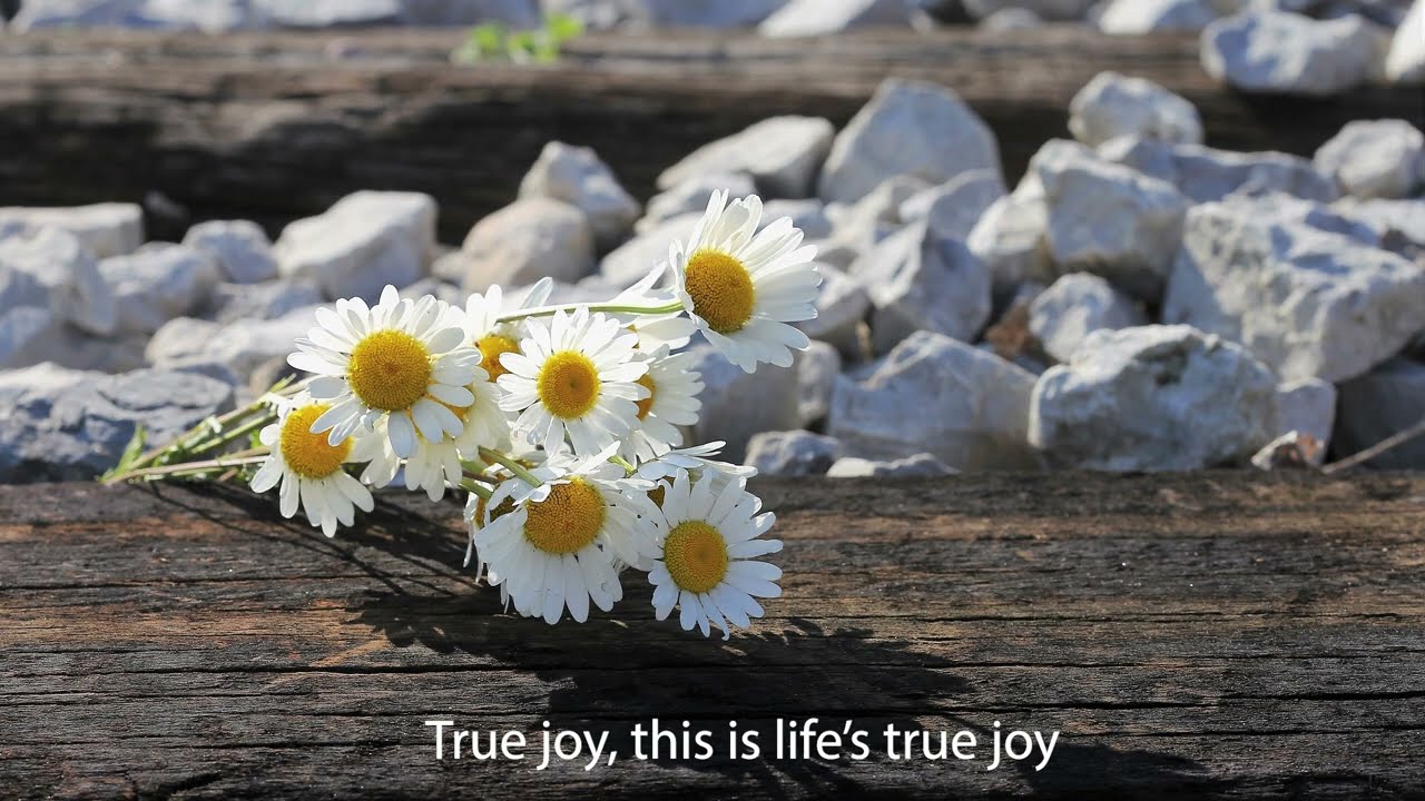 True Joy / piano instrumental cover with lyrics / F.I.A WORSHIP / 행복 English Version
