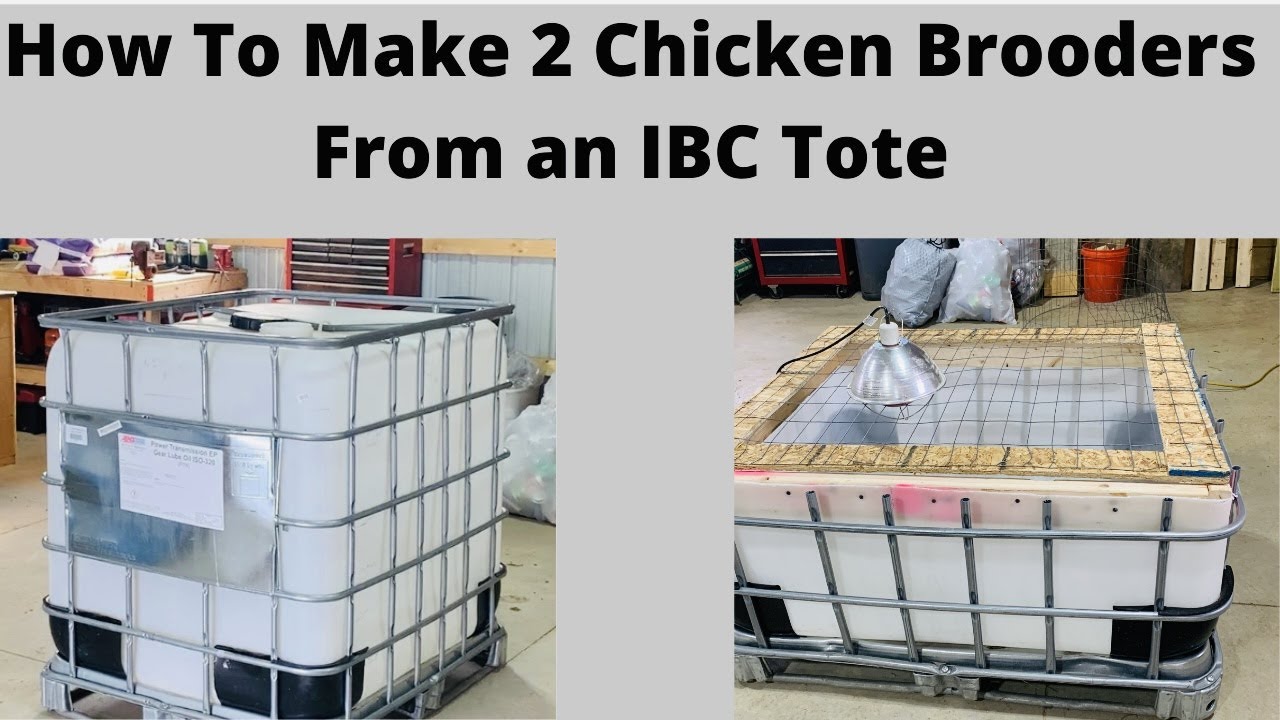 Using an IBC tote to make chicken brooder