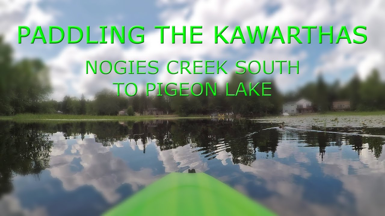 Paddling The Kawarthas: Nogies Creek South To Pigeon Lake (August, 2019)