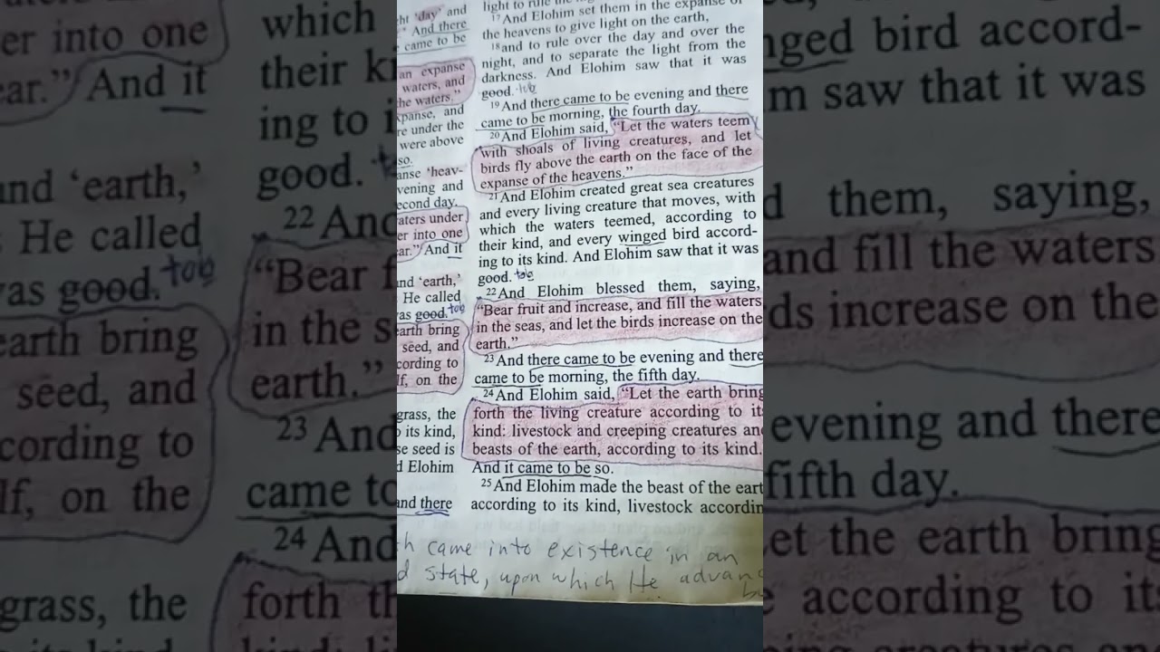Bereshiyth / Genesis 1:24-25. (part 6 of 9.)