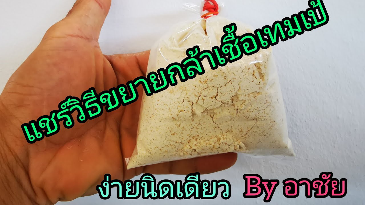 วีธีขยายหัวเชื้อ เทมเป้ 21 สิงหาคม ค.ศ. 2021