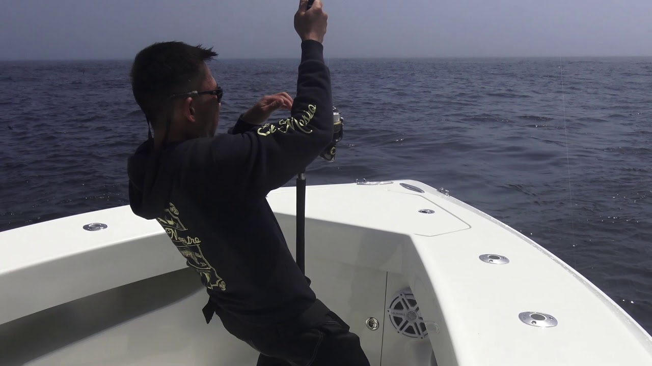 Paul lands bluefin tuna on Monster Ledge 200