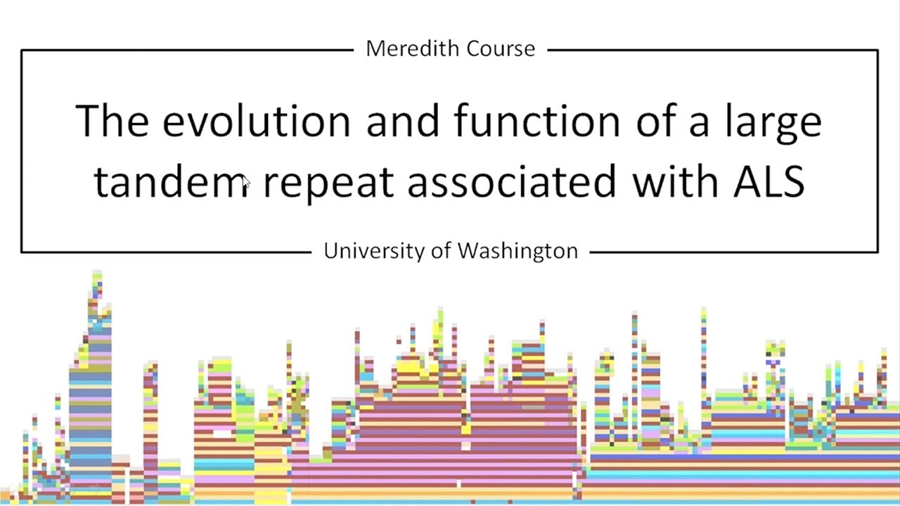 The Evolution and Function of a Large Tandem Repeat Associated with ALS