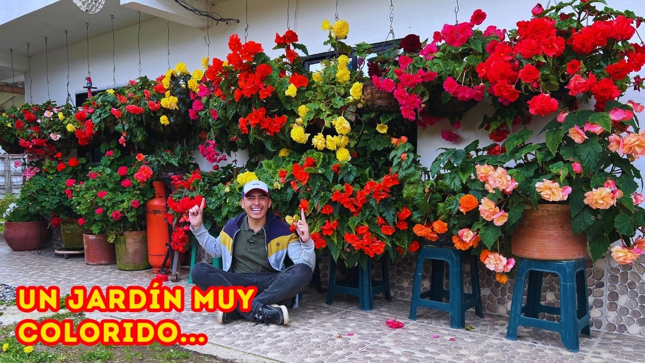 Silvia nos comparte sus MEJORES CONSEJOS de jardinería, hermosas PLANTAS ornamentales |AP