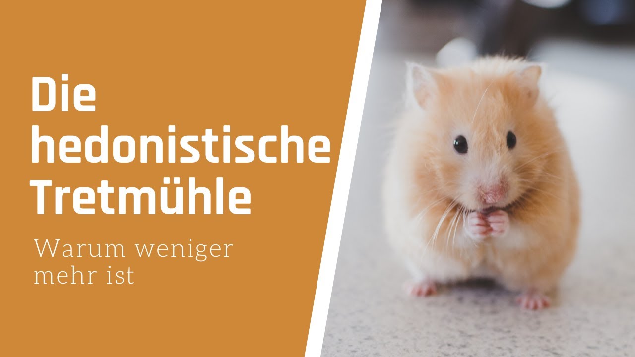 Psychologie des Minimalismus: Die hedonistische Tretmühle