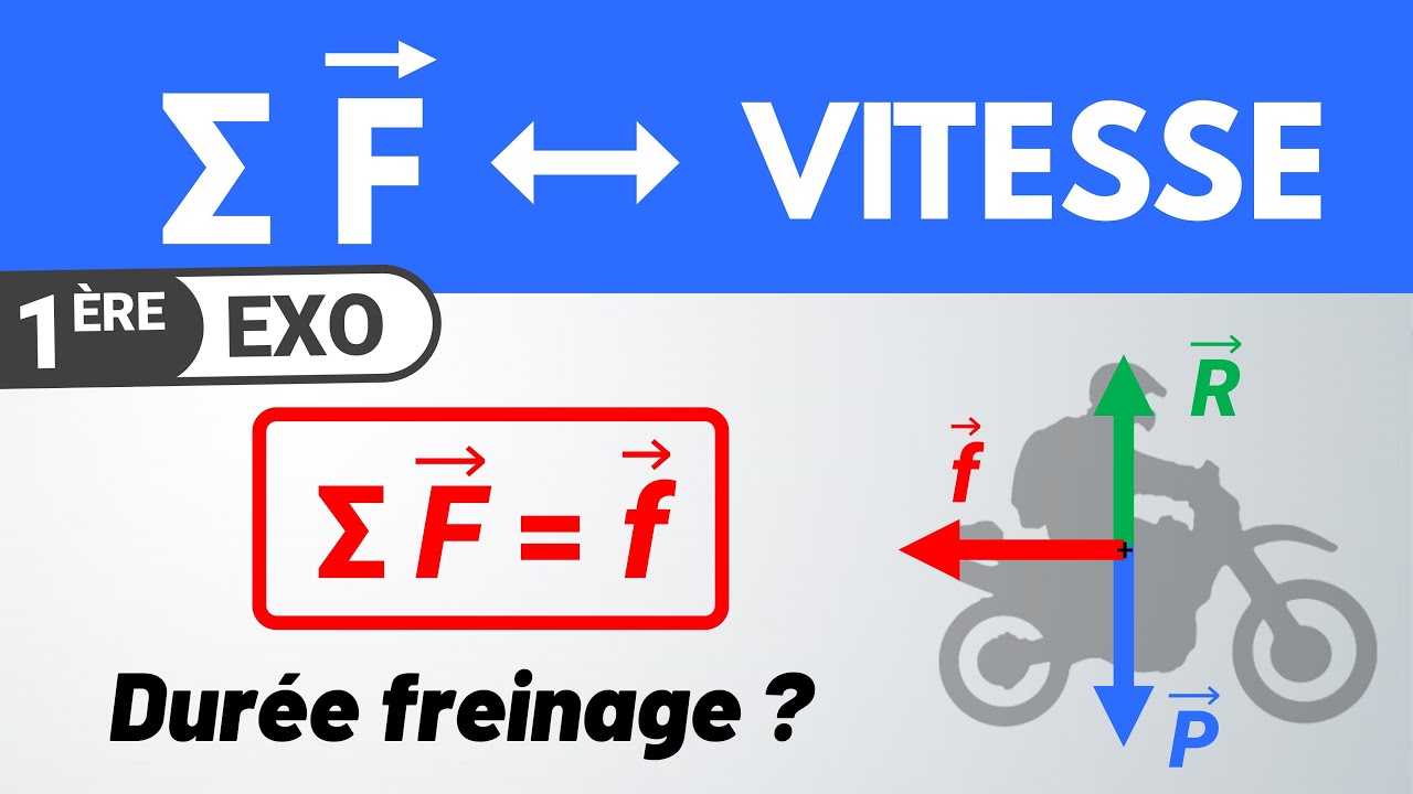 Somme des forces & variation de vitesse | 1ère spécialité | Physique