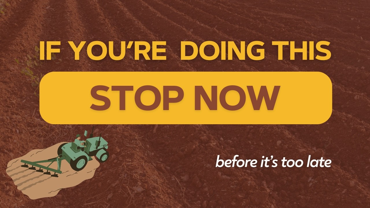 Stop PLOWING your soil (before it’s too late)